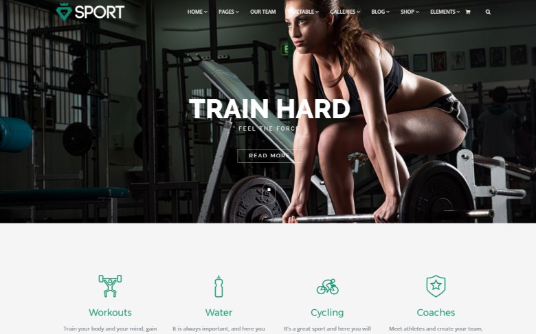 VisualModo Sport WordPress Theme