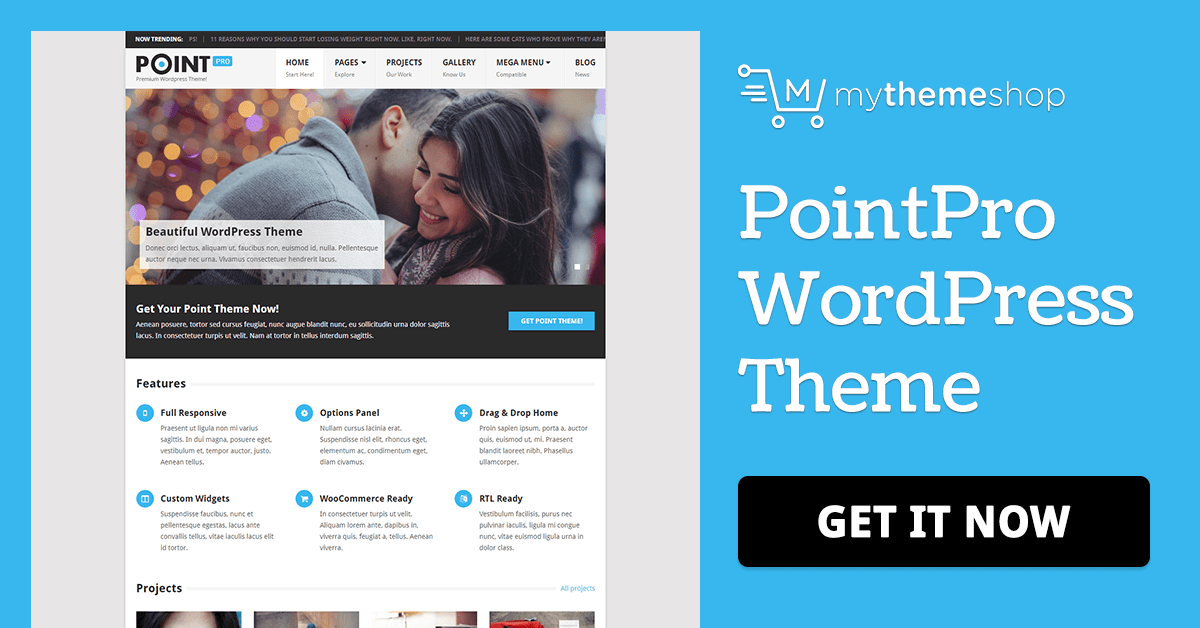 MyThemeShop – Point Pro