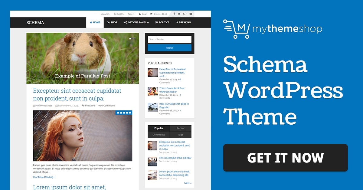 MyThemeShop – Pureview
