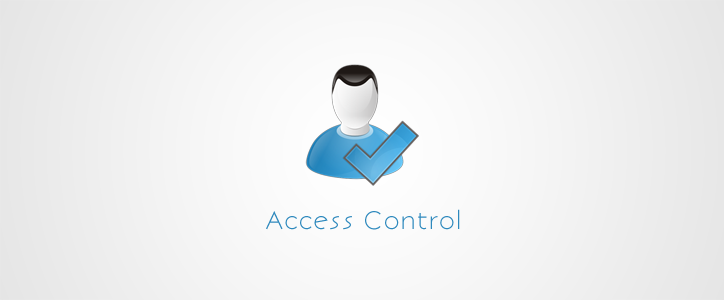 Download Manager Custom Access Level