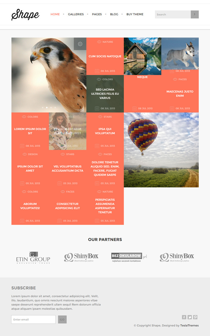 TeslaThemes – Shape