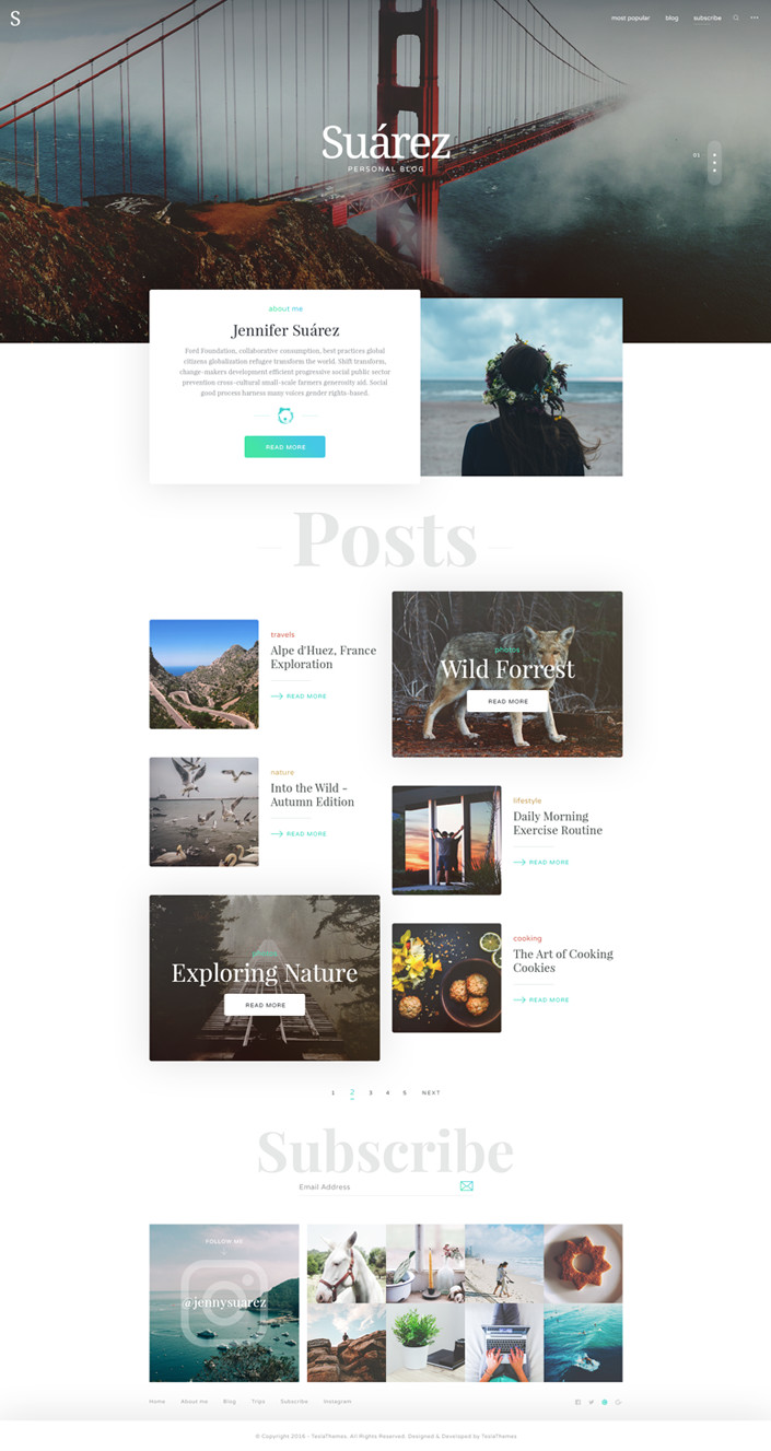 TeslaThemes – Suarez