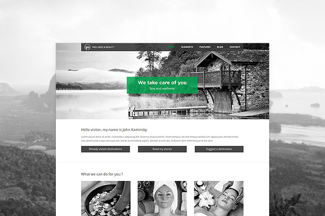 AIT Themes – Spa WordPress Theme