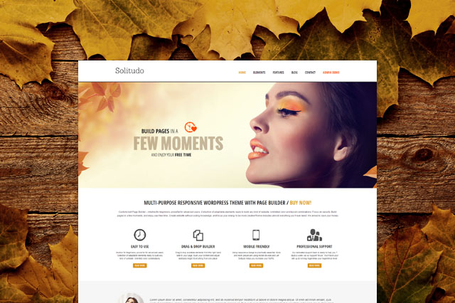 AIT Themes – Solitudo WordPress Theme