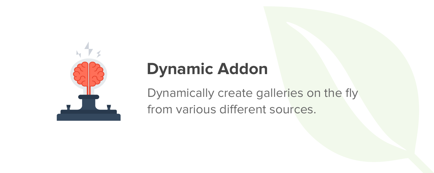 Envira Gallery Dynamic Addon