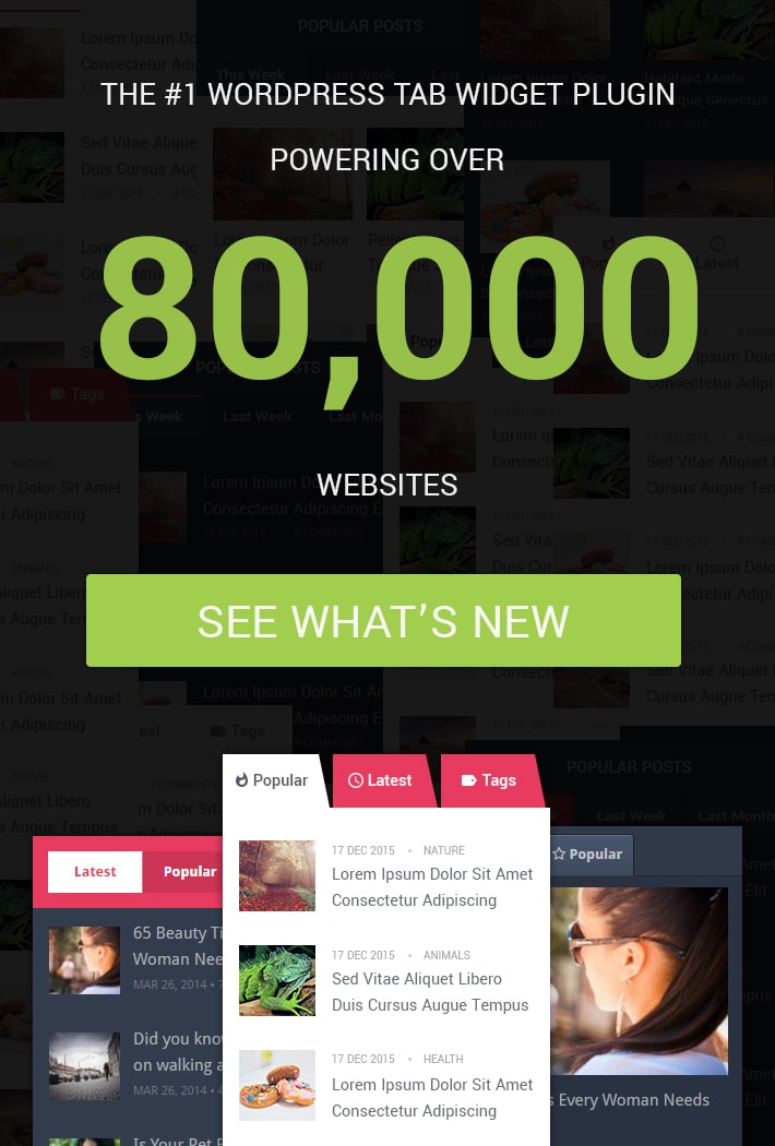 MyThemeShop – WP Tab Widget Pro