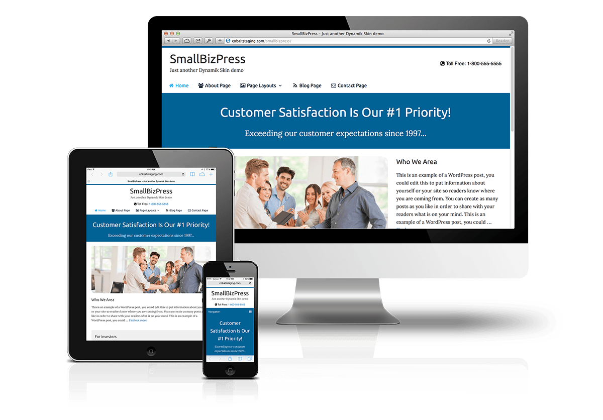 Dynamik Skin SmallBizPress