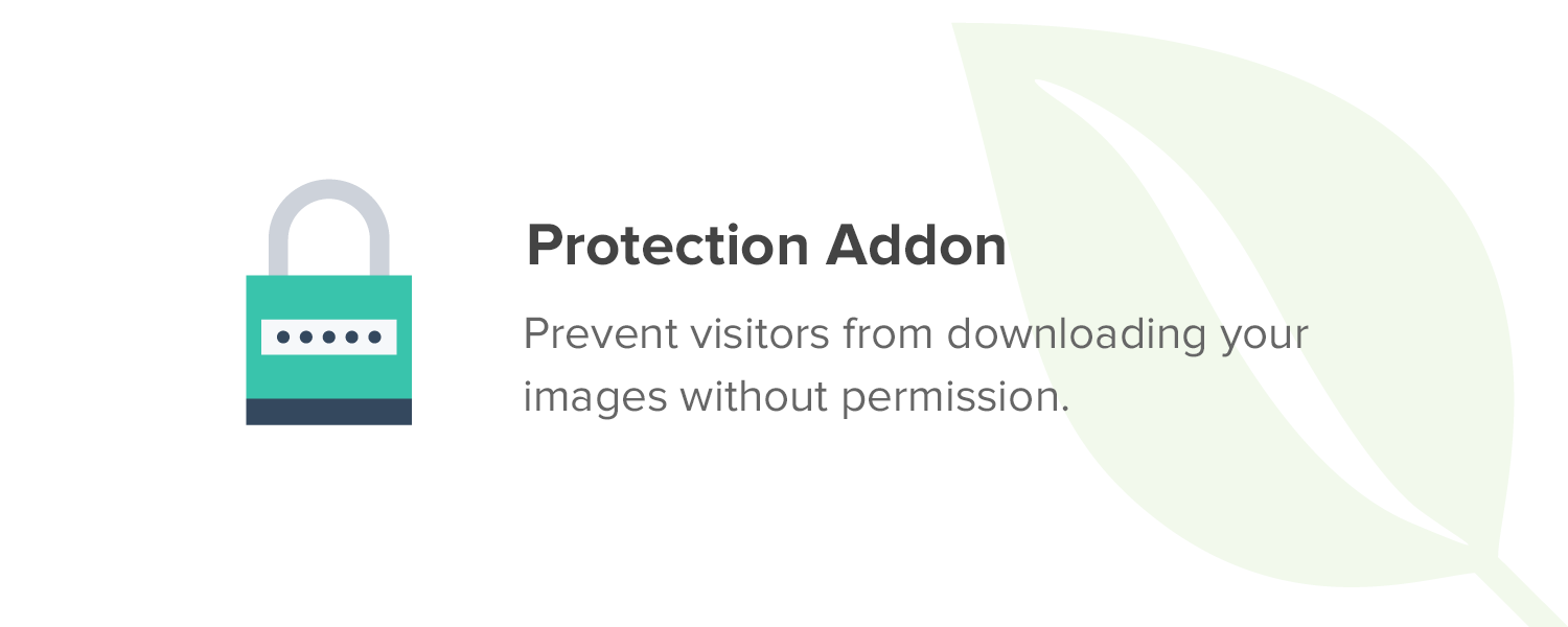 Envira Gallery  Protection Addon