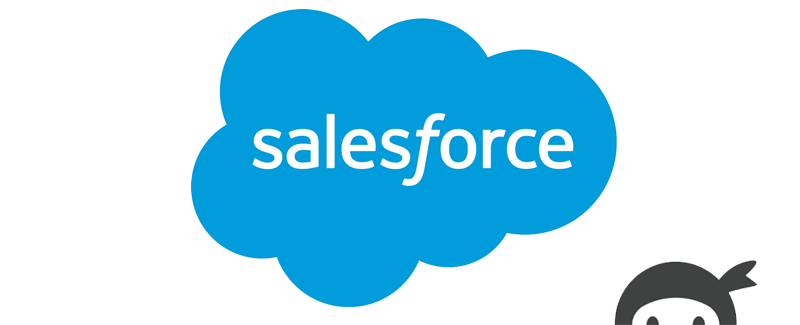 Ninja Forms – Salesforce CRM