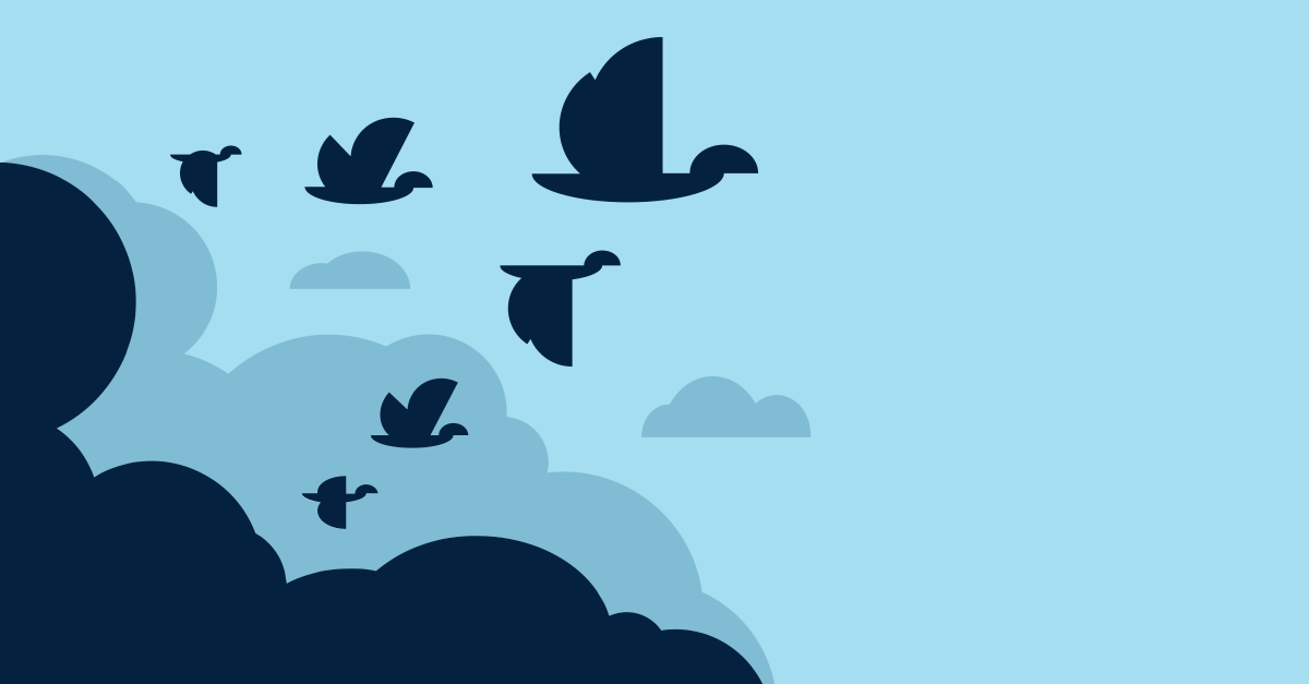 WP Migrate DB Pro