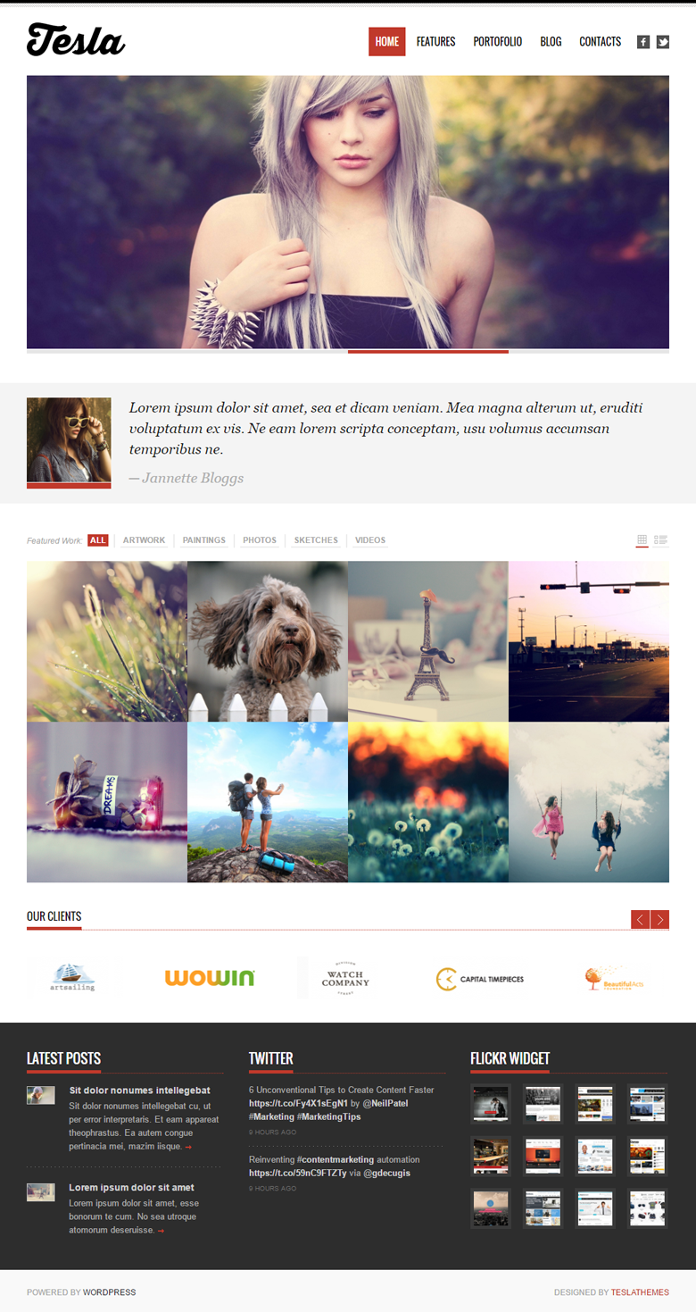 TeslaThemes – Tesla