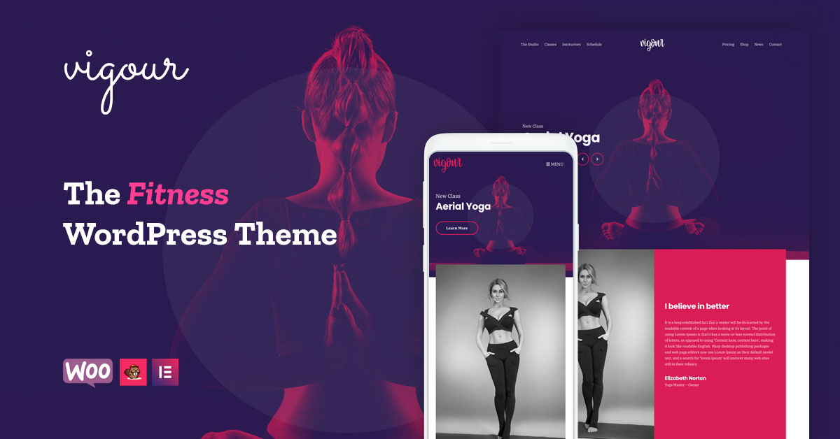 CSSIgniter – Vigour
