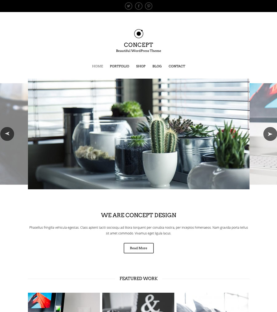 Viva Themes Concept