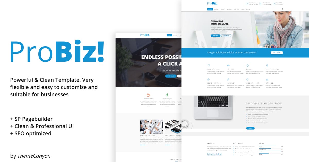 ProBiz! – Creative Multipurpose Business Template