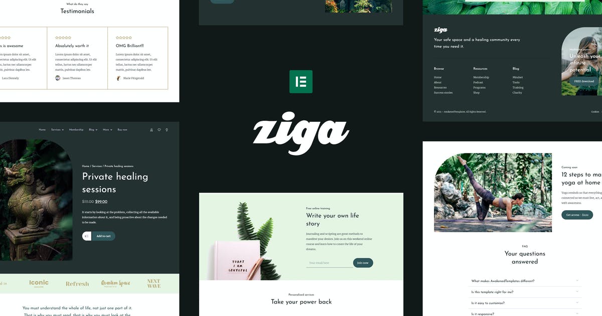 Ziga – Healer & Life Coach Elementor Template Kit