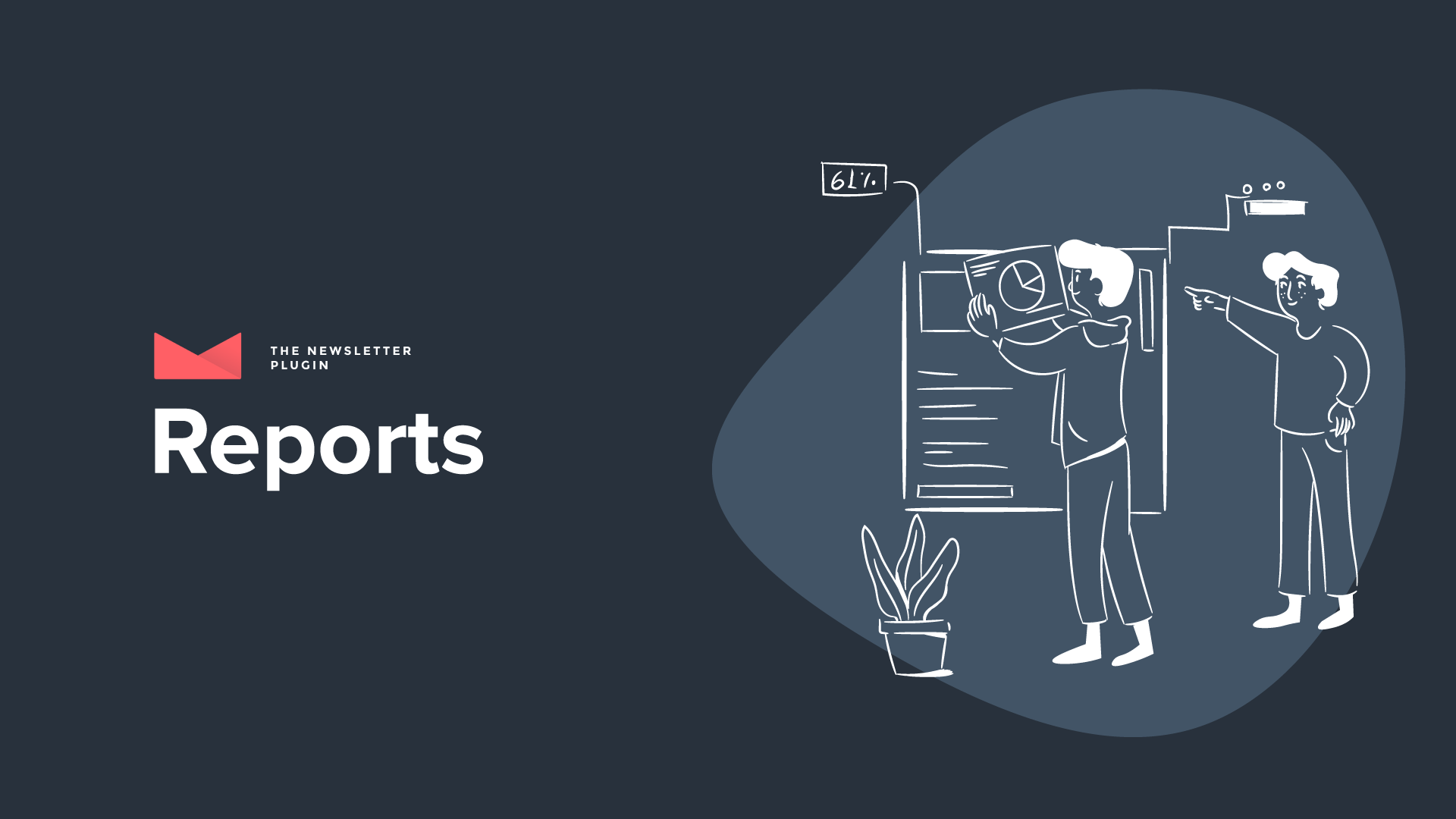 Newsletter  Reports and Retargeting