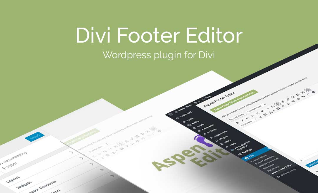 WP Zone | Divi Footer Editor