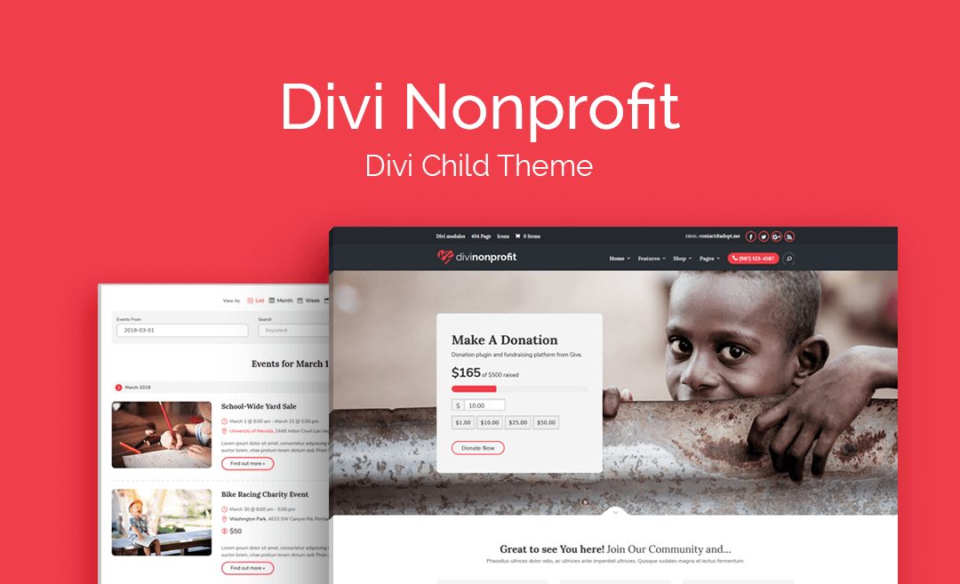 WP Zone  Divi Nonprofit