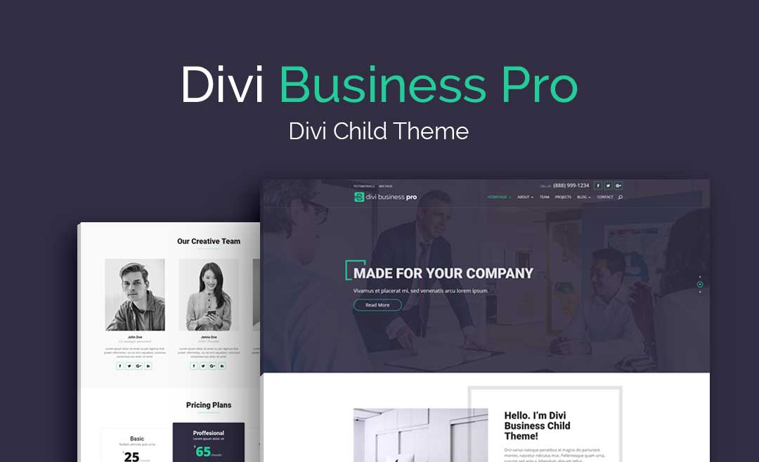 WP Zone  Divi Business Pro