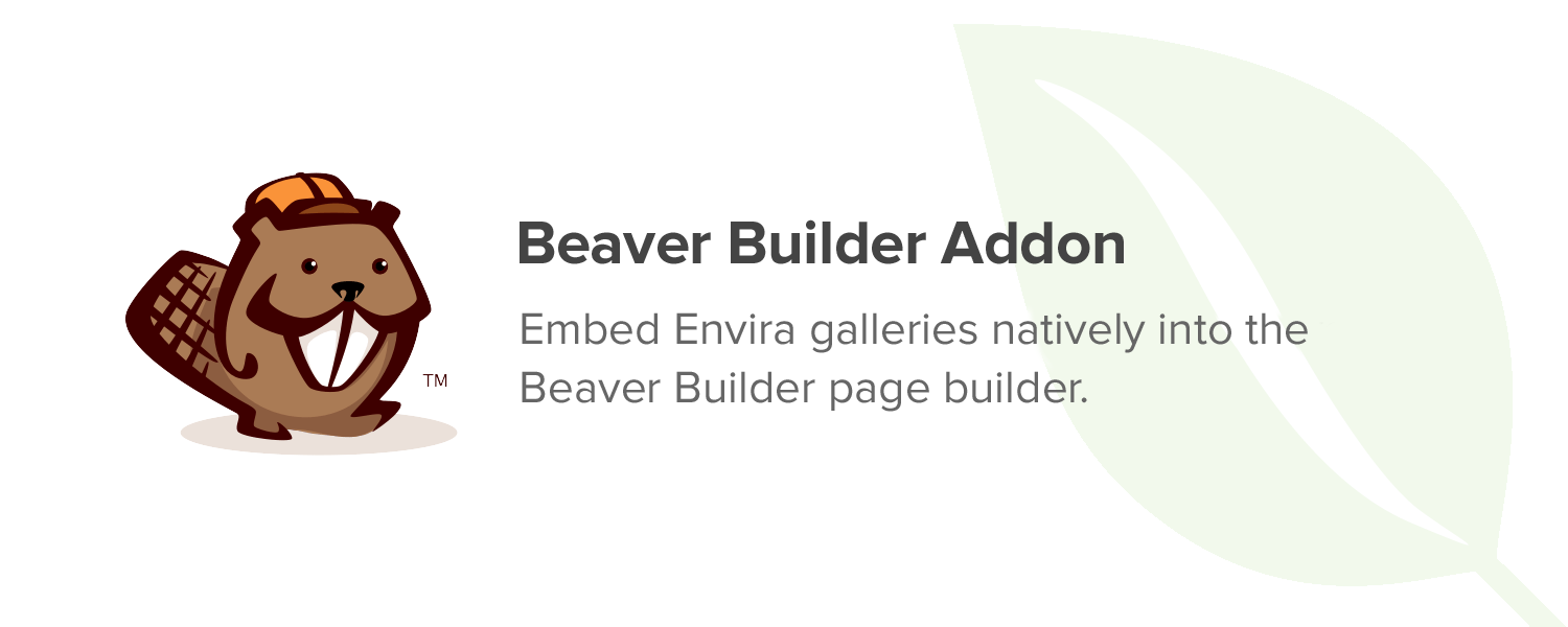 Envira Gallery  Beaver Builder Addon