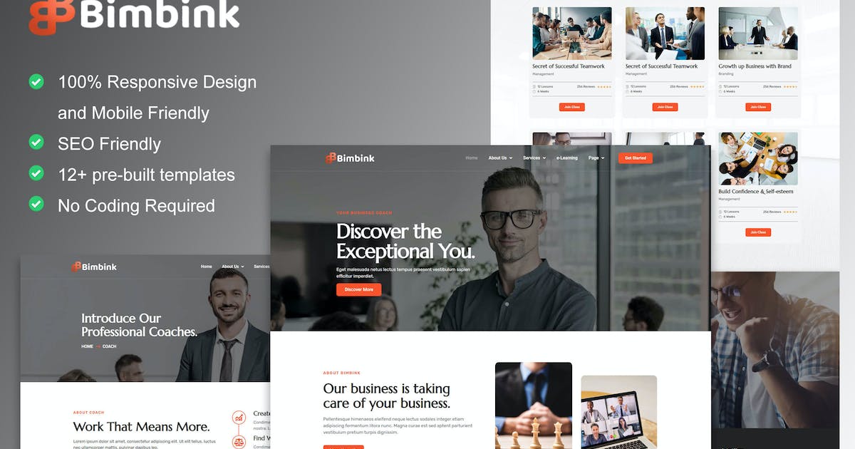 Bimbink – Business Coach & Consulting Elementor Template Kit