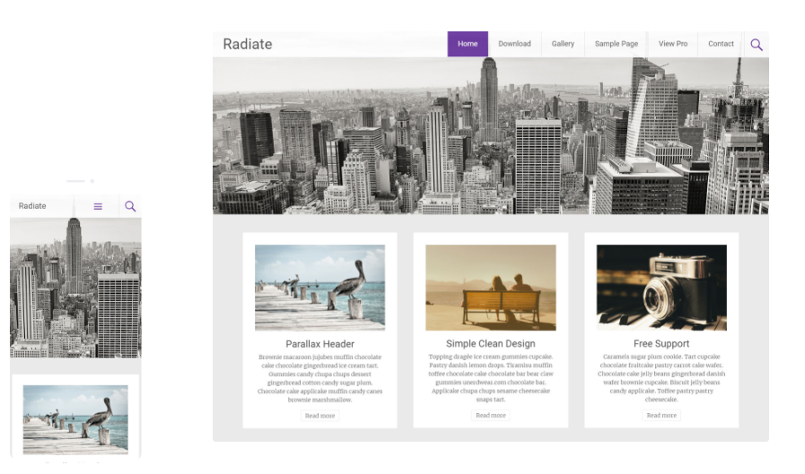 ThemeGrill Radiate Pro – Favourite theme of Bloggers