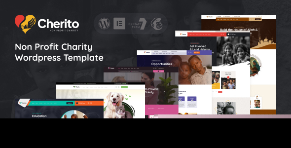 Download Cherito – Non Profit Charity WordPress Theme