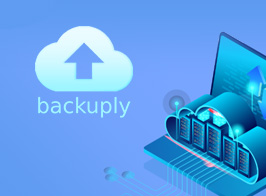 Download Backuply Pro – WordPress Backup Plugin