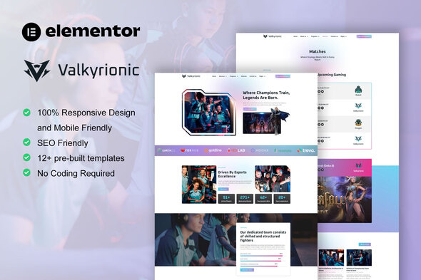 Télécharger Valkyrionic – Esport Team